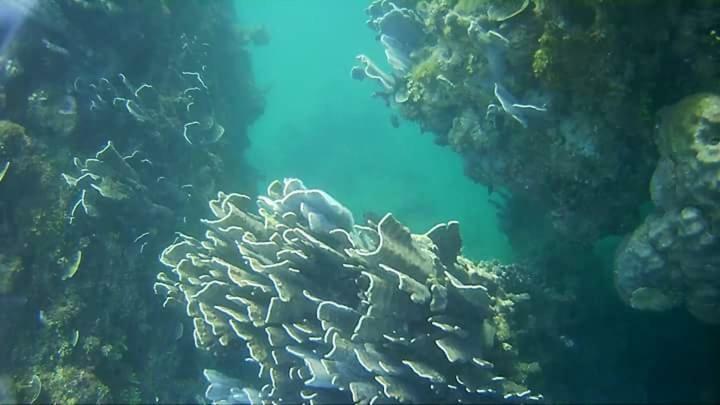 Coco Cabana Romblon Agpanabat Екстериор снимка