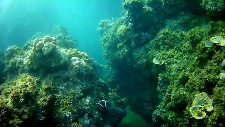 Coco Cabana Romblon Agpanabat Екстериор снимка