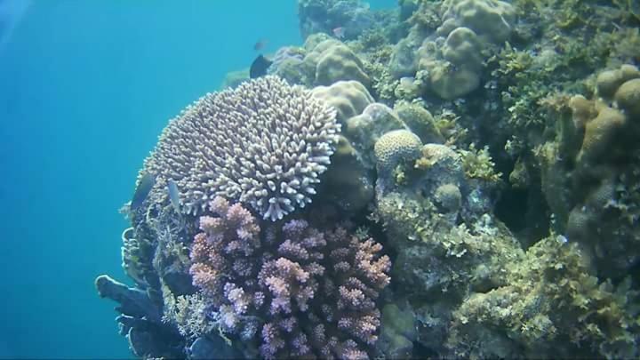 Coco Cabana Romblon Agpanabat Екстериор снимка